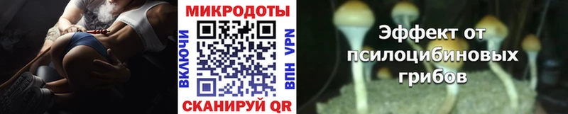 Галлюциногенные грибы Psilocybe  закладки  блэк спрут ССЫЛКА  Красный Кут 
